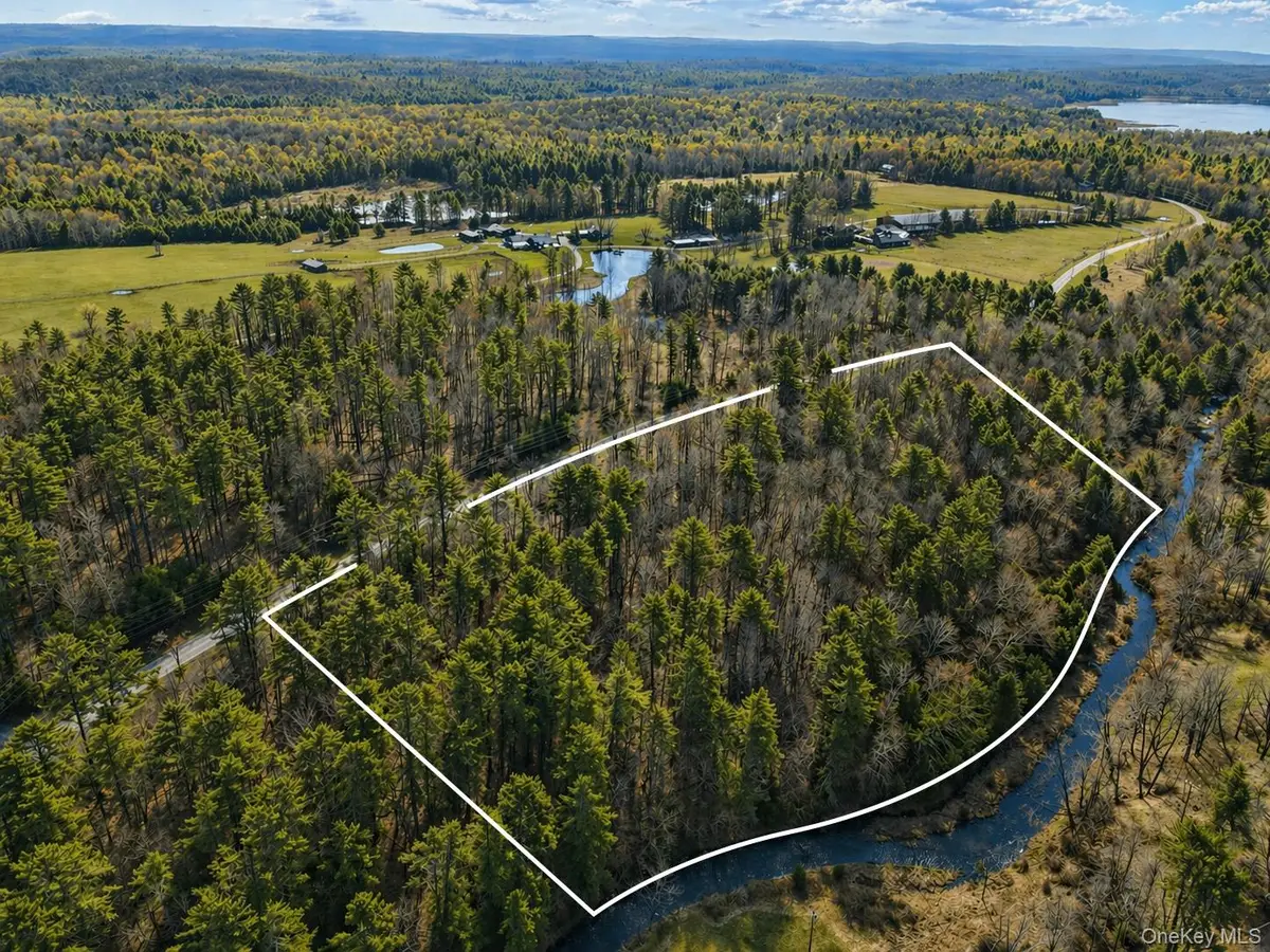 Chapin Trail, White Lake, NY 12786 - #1