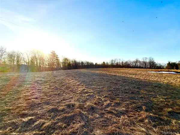 TBD Snake Hill Road, Walton, NY 13775