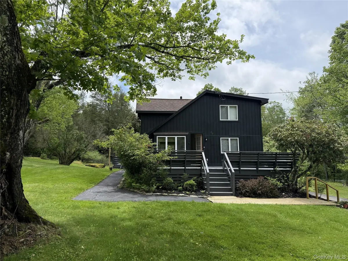 37 Dewitts Flats Road, Jeffersonville, NY 12748 - #1