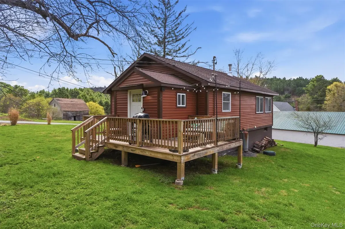 27 Old County Road, Cochecton, NY 12726 - #1