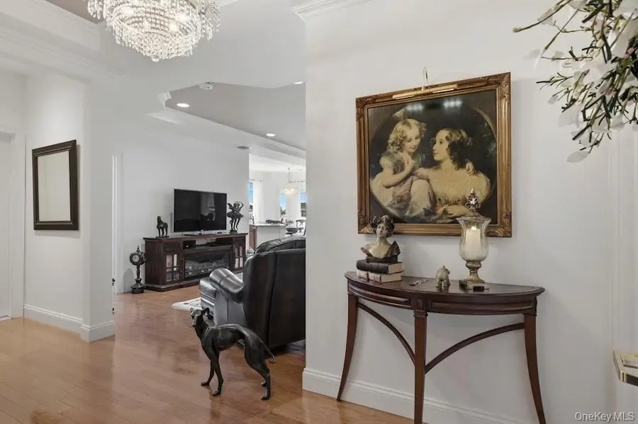 923 Roosevelt Way, Westbury, NY 11590 - #2