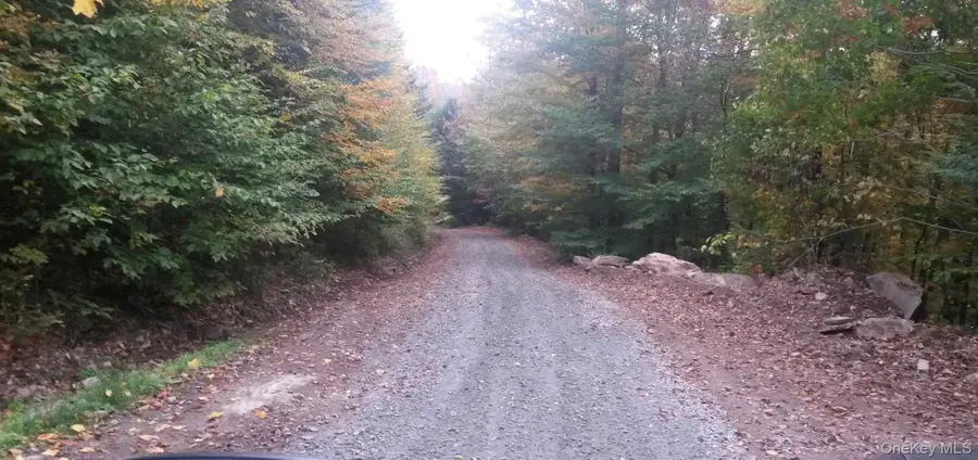 Quarry Road, Hancock, NY 13783 - #3