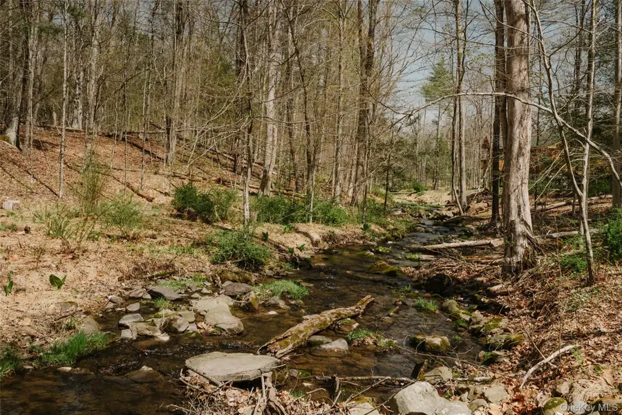 332 Mohonk Road, High Falls, NY 12440 - #2