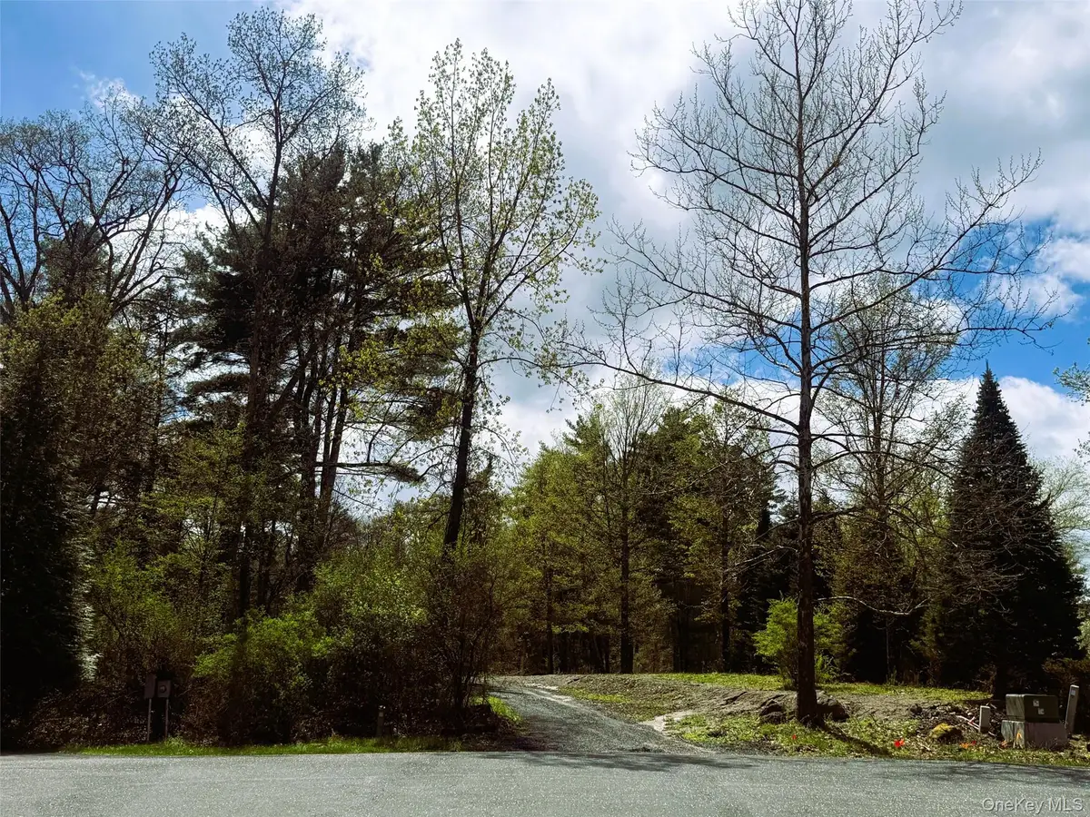 147 Putt Lane, Kingston, NY 12401 - #1