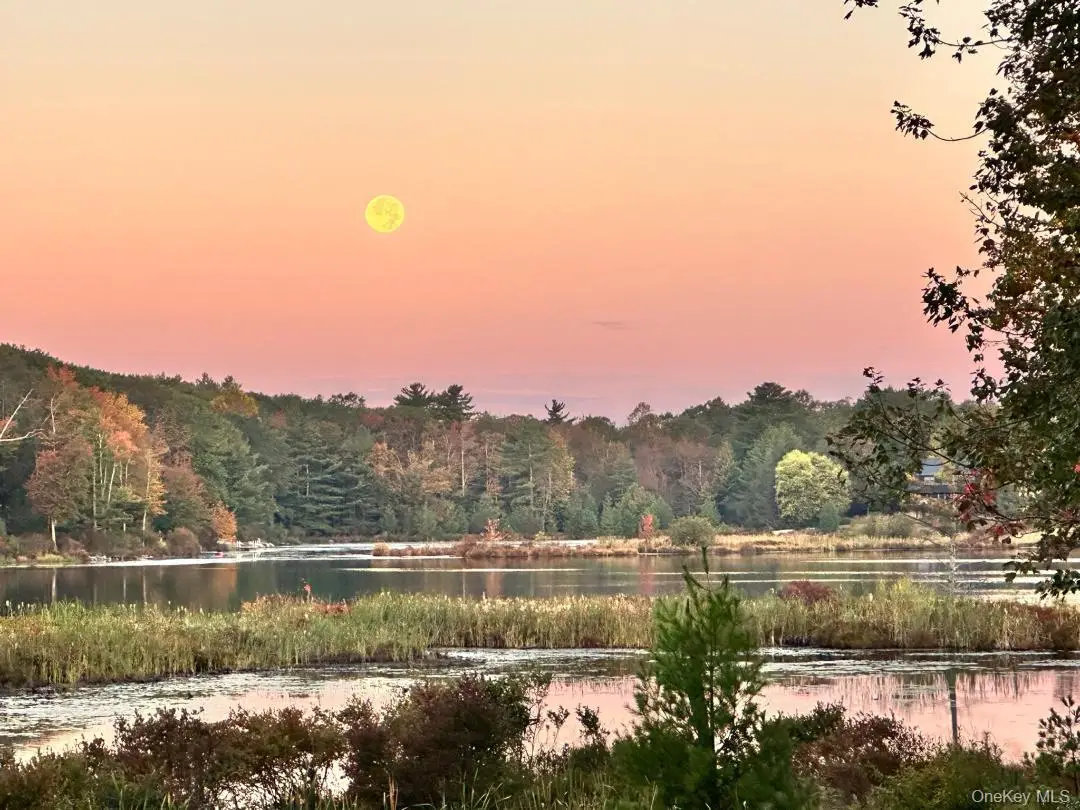 85 Lake Shore Drive W, Rock Hill, NY 12775 - #1