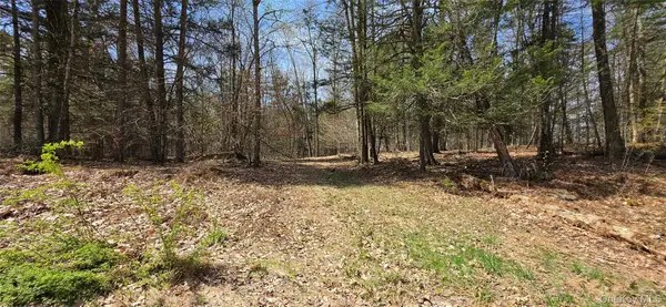 Lot 12 Tyler Road, Cochecton, NY 12726