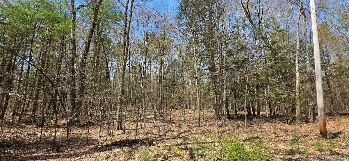 Lot 13 Tyler Road, Cochecton, NY 12726 - #1