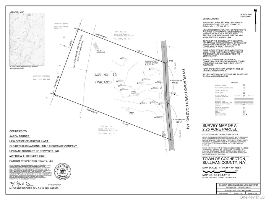 Lot 13 Tyler Road, Cochecton, NY 12726 - #2