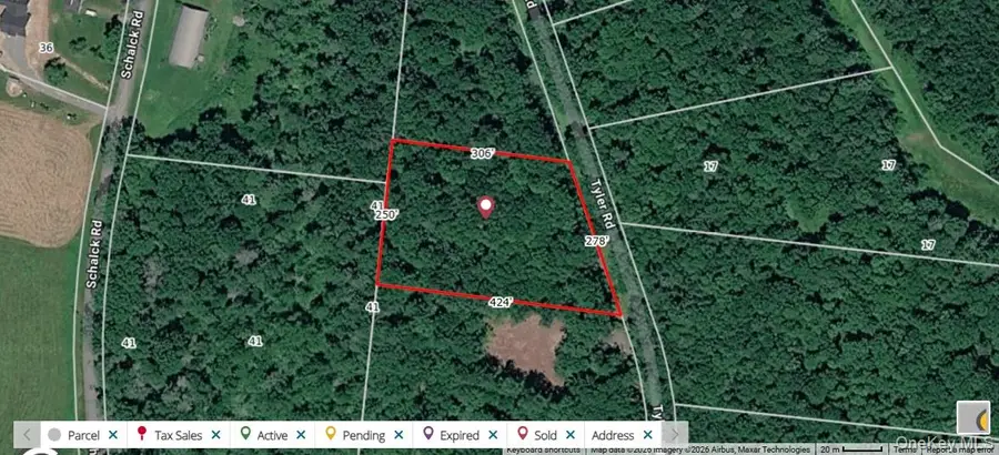Lot 13 Tyler Road, Cochecton, NY 12726 - #3