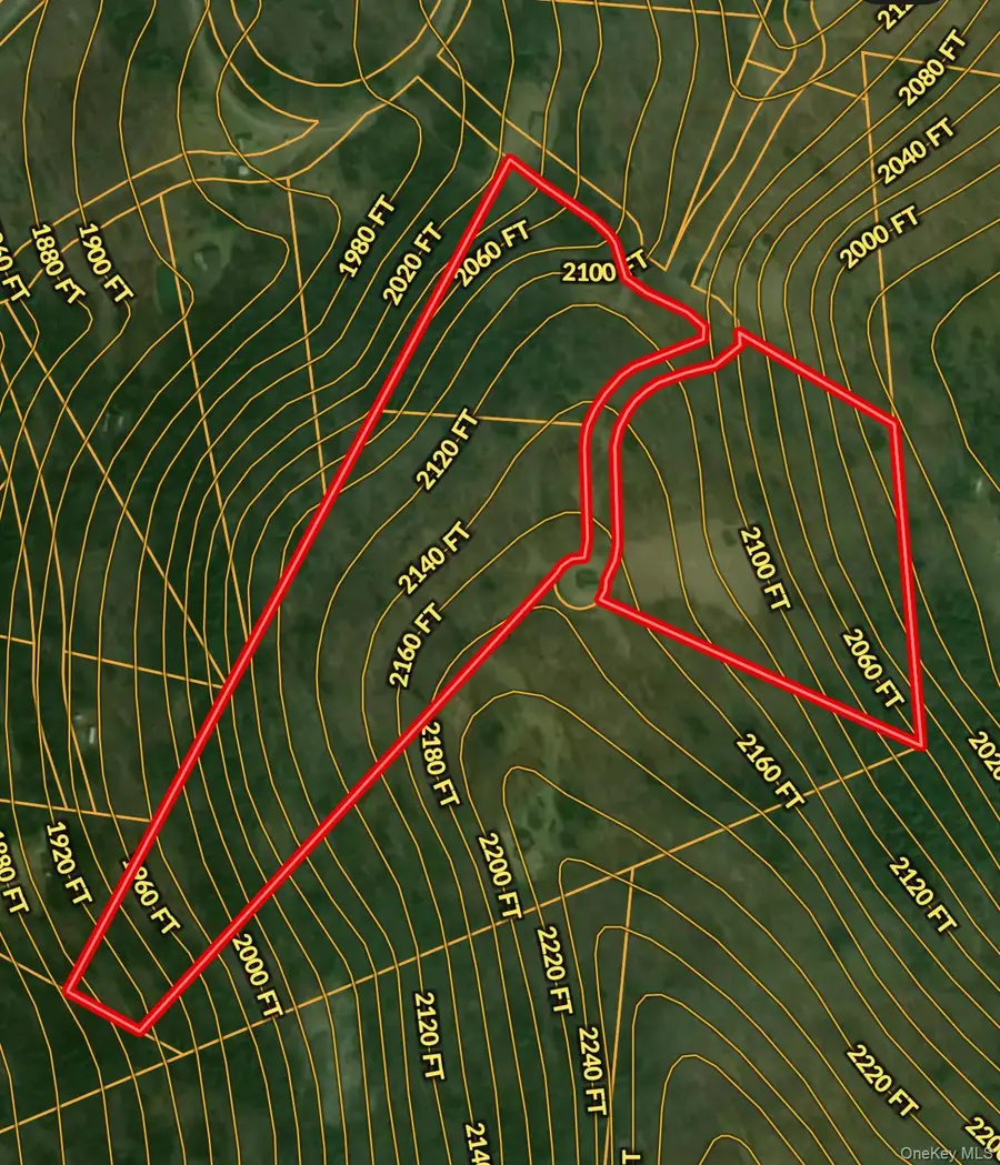 295 Emerald Heights Road, Delancey, NY 13752 - #2