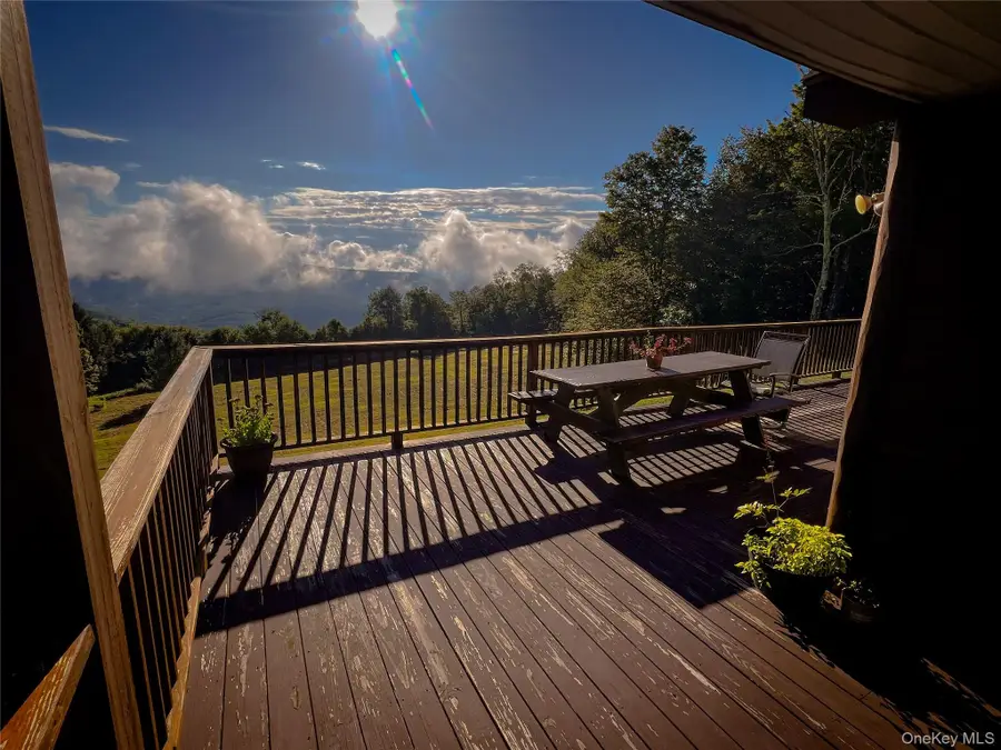 295 Emerald Heights Road, Delancey, NY 13752 - #3