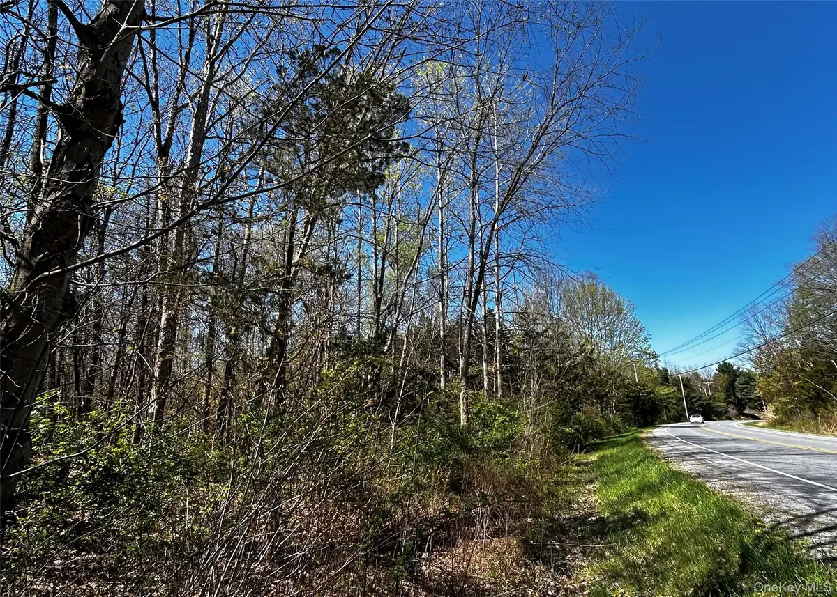 Bullshead Road, Clinton Corners, NY 12572 - #1