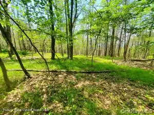 TBD Piney Lane, Cragsmoor, NY 12420
