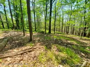 TBD Piney Lane, Cragsmoor, NY 12420 - #2