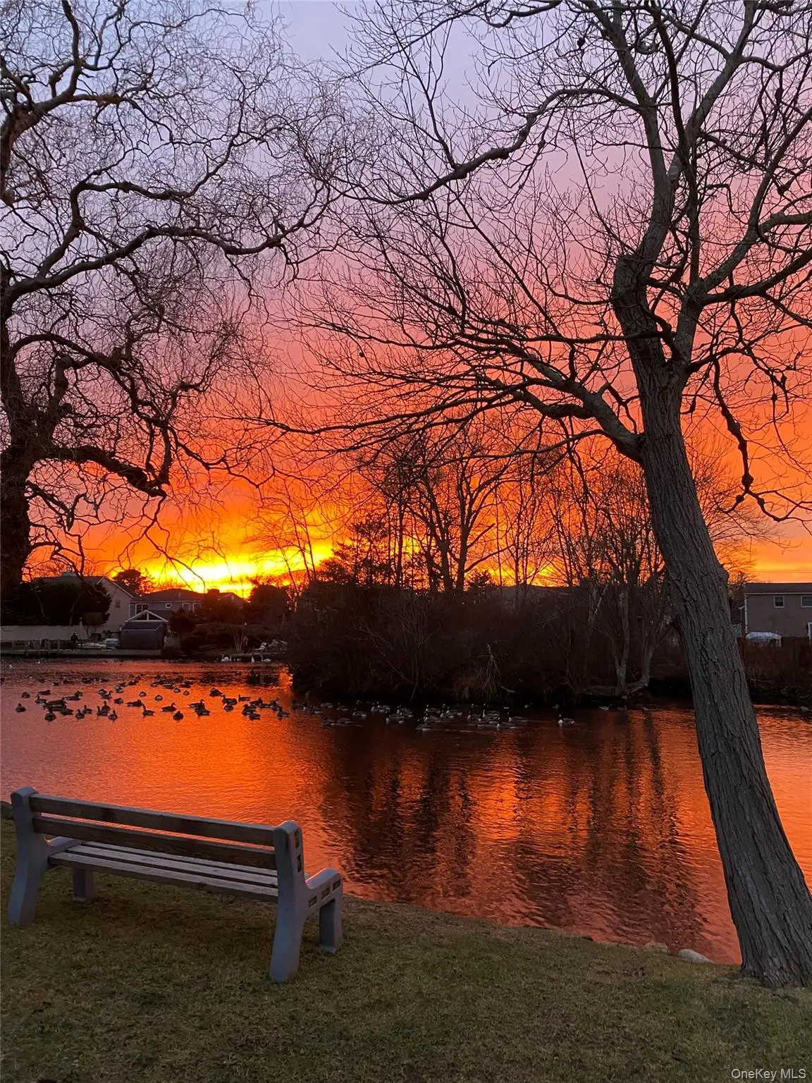 488 Everdell Avenue, West Islip, NY 11795 - #1