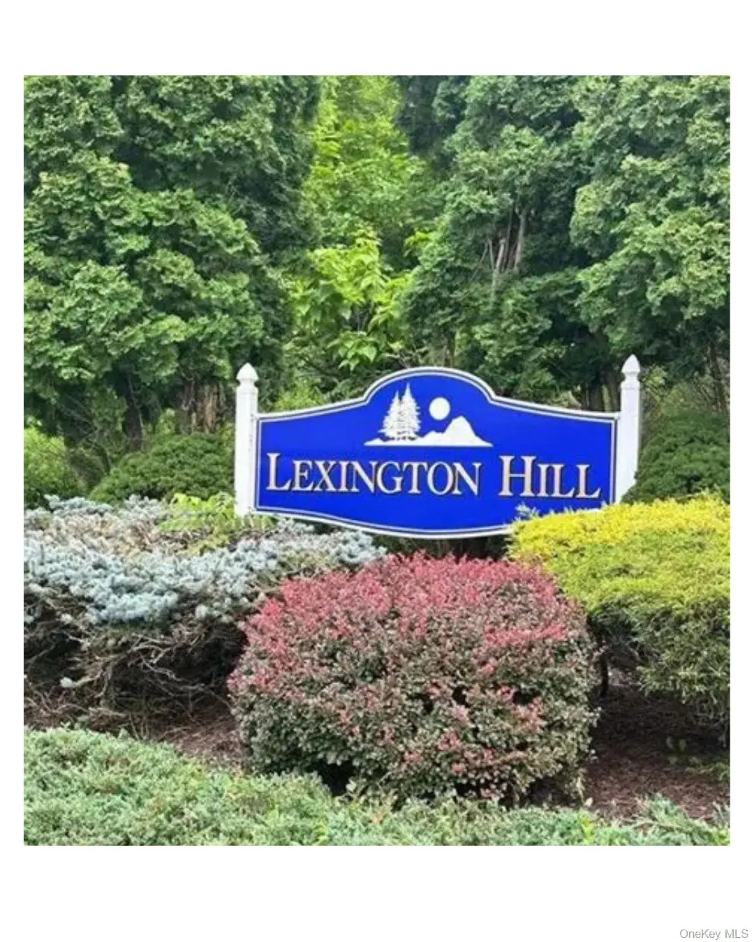 5 Lexington Hill #1, Harriman, NY 10926 - #1