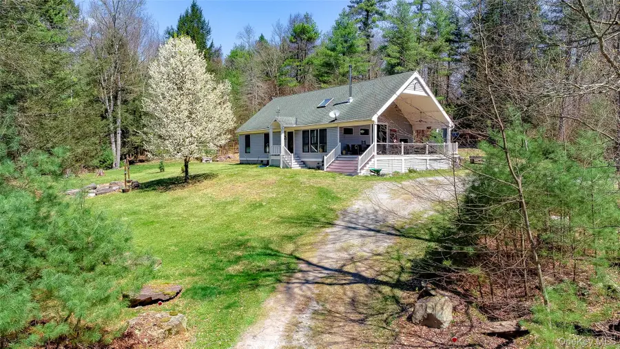 465 Schalck Road, Narrowsburg, NY 12764 - #2