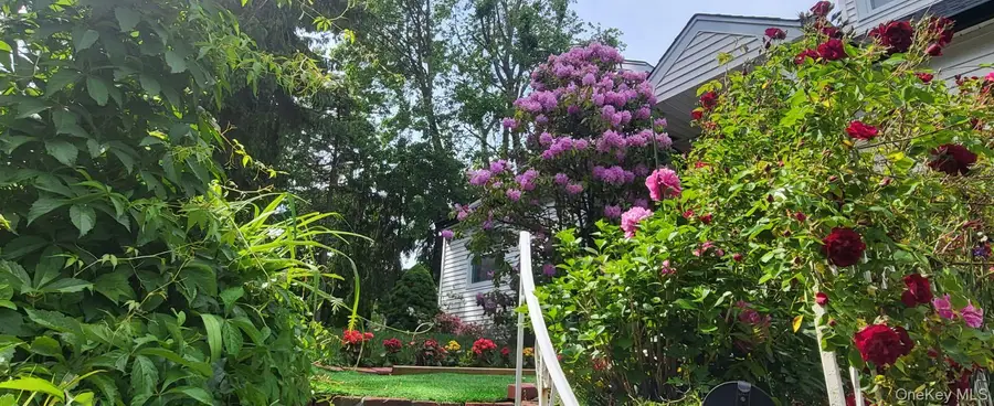 257 Schenck Avenue, Great Neck, NY 11021 - #2