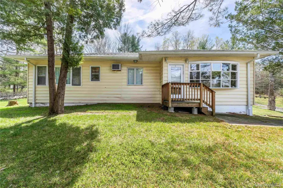 1 Jade Lane, Swan Lake, NY 12783 - #3