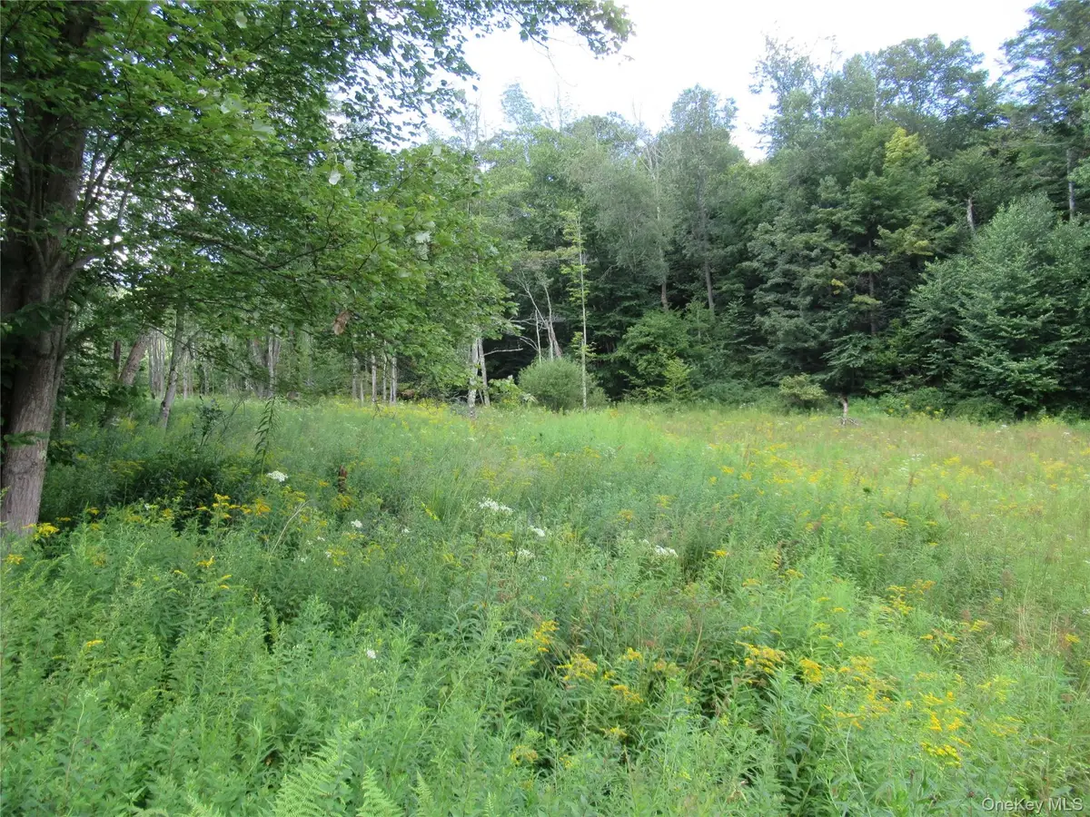 TBD Ferndale Road, Ferndale, NY 12734 - #1