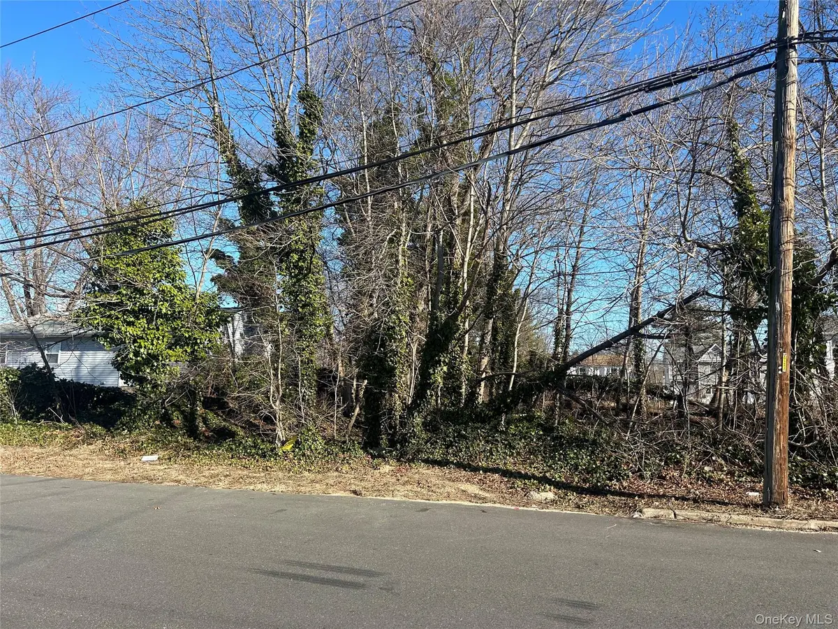 15 Chestnut Street, Wyandanch, NY 11798 - #1