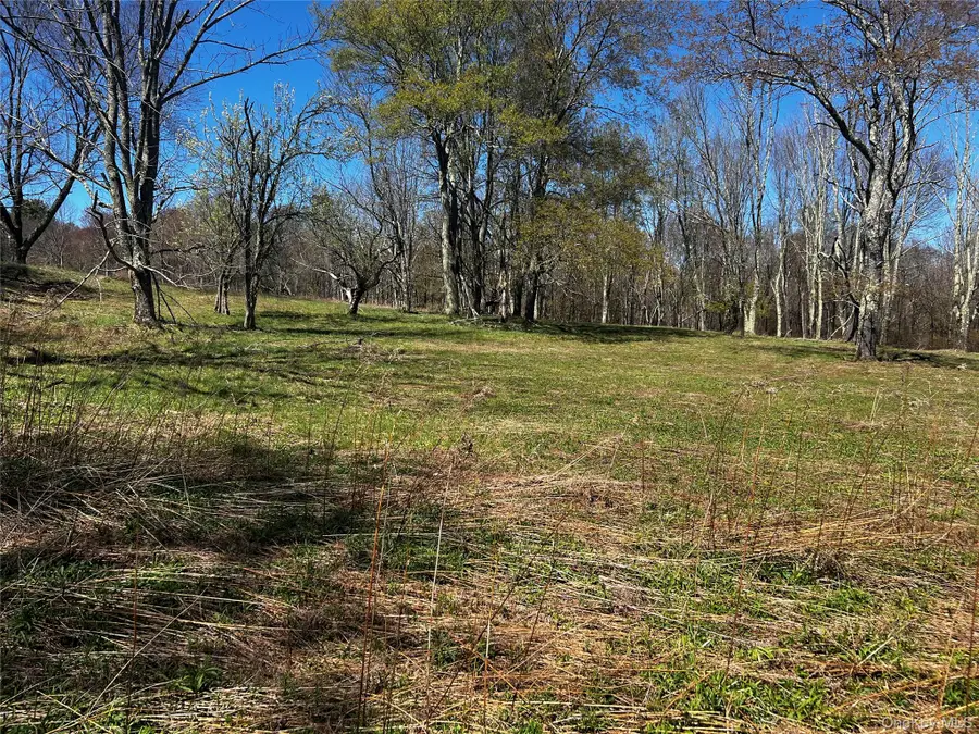 93 Cal Stewart Road, Bethel, NY 12720 - #2