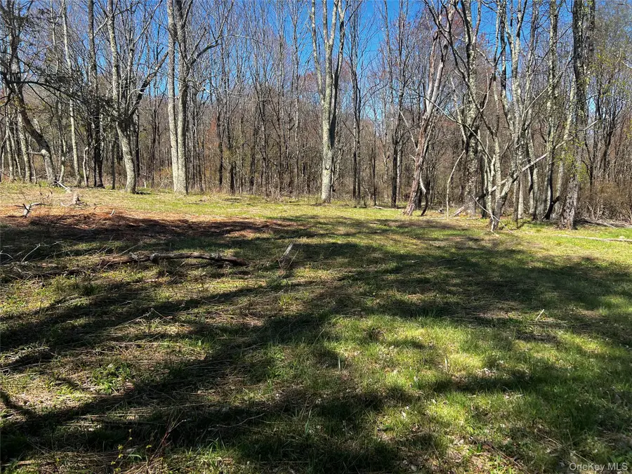 93 Cal Stewart Road, Bethel, NY 12720 - #3