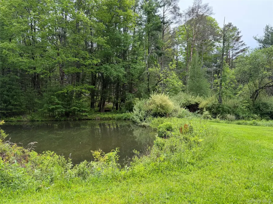 21 Hoffmann Street, Hankins, NY 12741 - #2