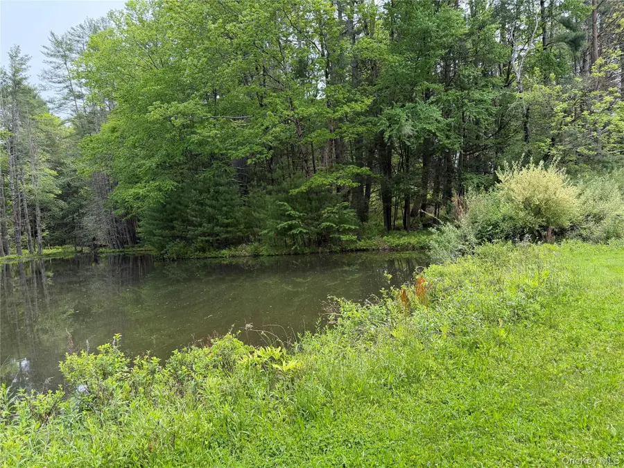 21 Hoffmann Street, Hankins, NY 12741 - #3