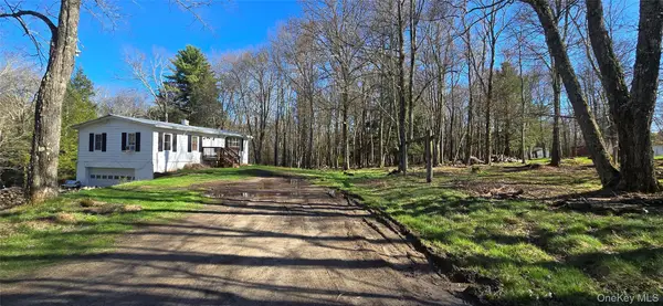42 Back Shandelee Road, Livingston Manor, NY 12758