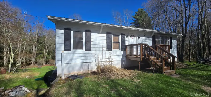 42 Back Shandelee Road, Livingston Manor, NY 12758 - #3
