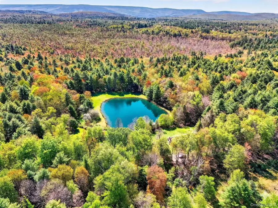 Spook Hole Road, Ellenville, NY 12428 - #3