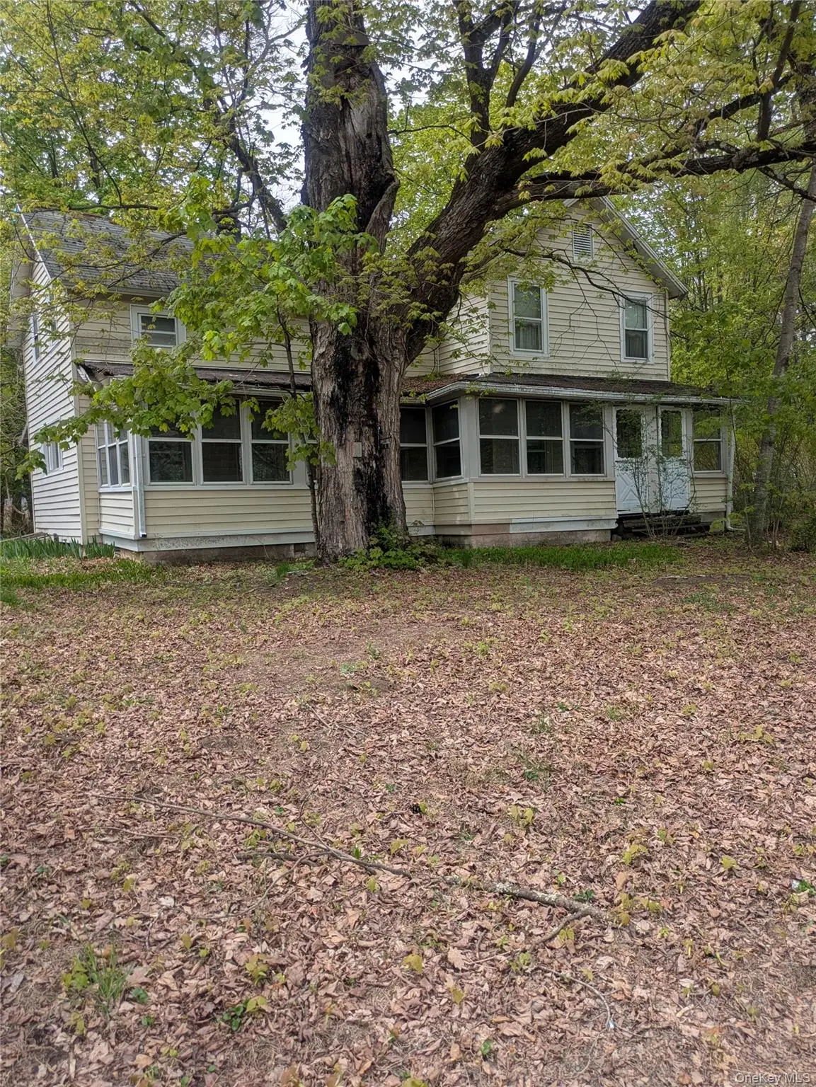 13 Mount Pleasant Road, Mount Tremper, NY 12457 - #1