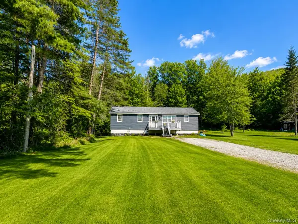 287 Debruce Road, Livingston Manor, NY 12758