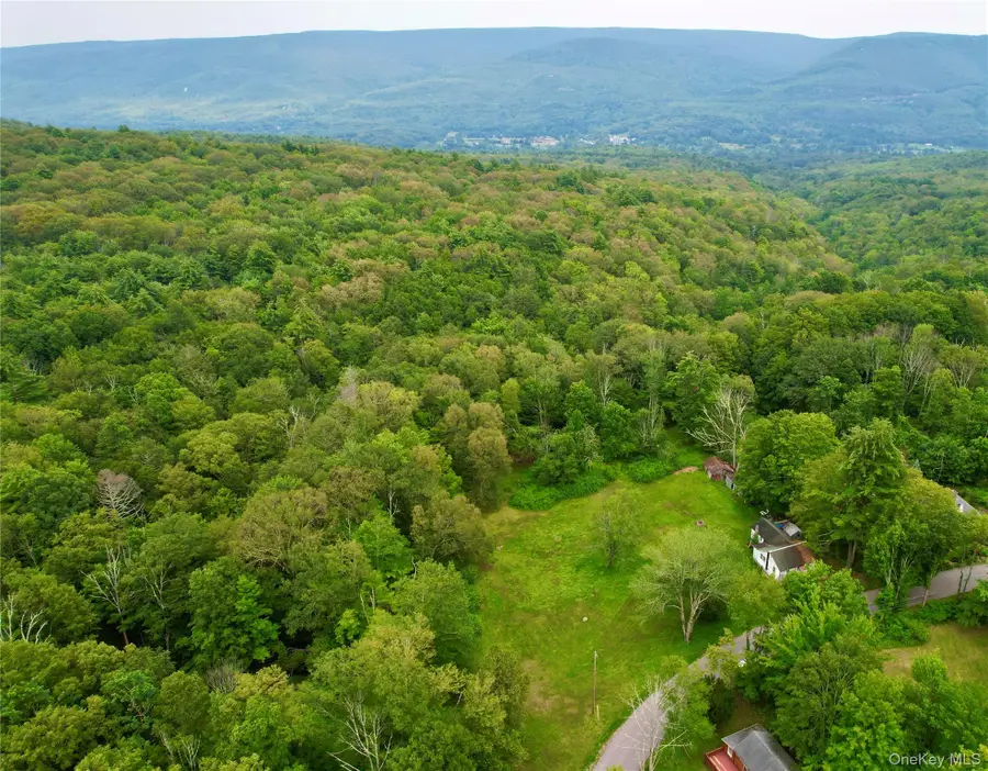 595-599 Oak Ridge Road, Wawarsing, NY 12428 - #2