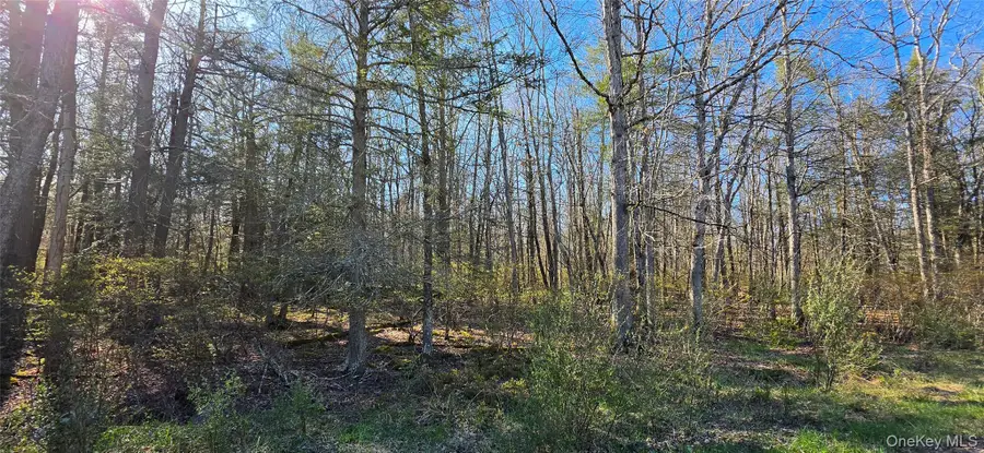 Lot 70 Cushetunk Drive, Cochecton, NY 12726 - #2