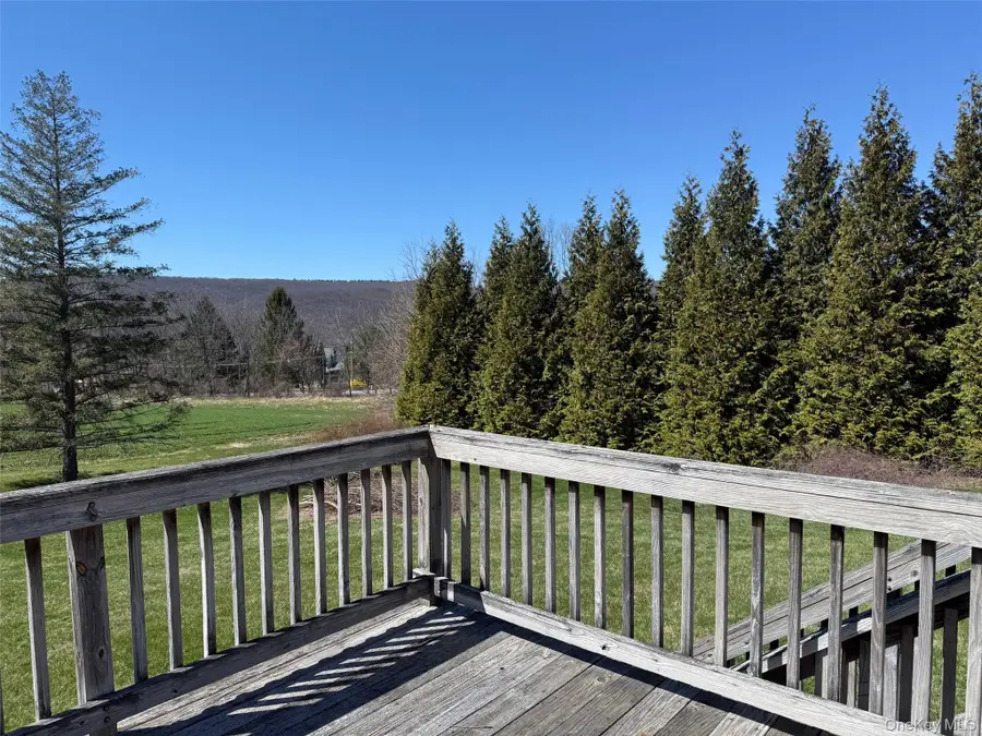 64 Depot Hill Road, Amenia, NY 12501 - #3