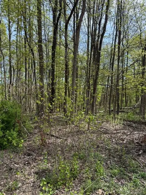 Route 300, Newburgh, NY 12550 - #1