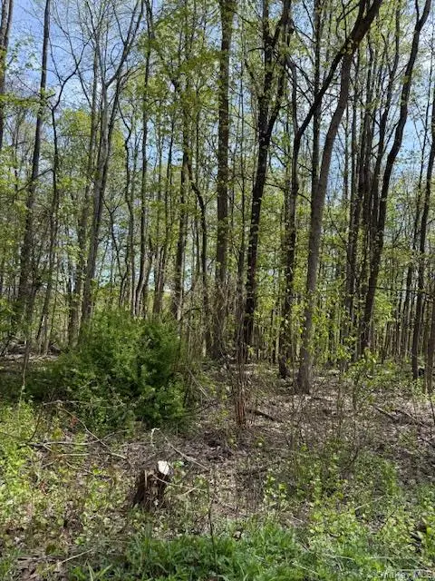 Route 300, Newburgh, NY 12550 - #3