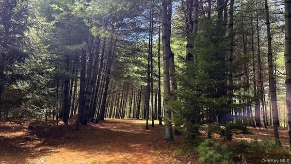 Lot 12 White Road, Glen Spey, NY 12737