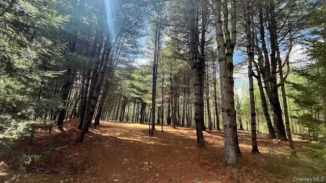 Lot 12 White Road, Glen Spey, NY 12737 - #2