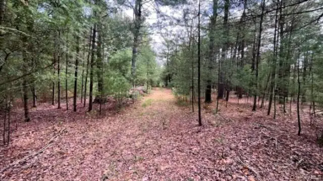 Lot 12 White Road, Glen Spey, NY 12737 - #3