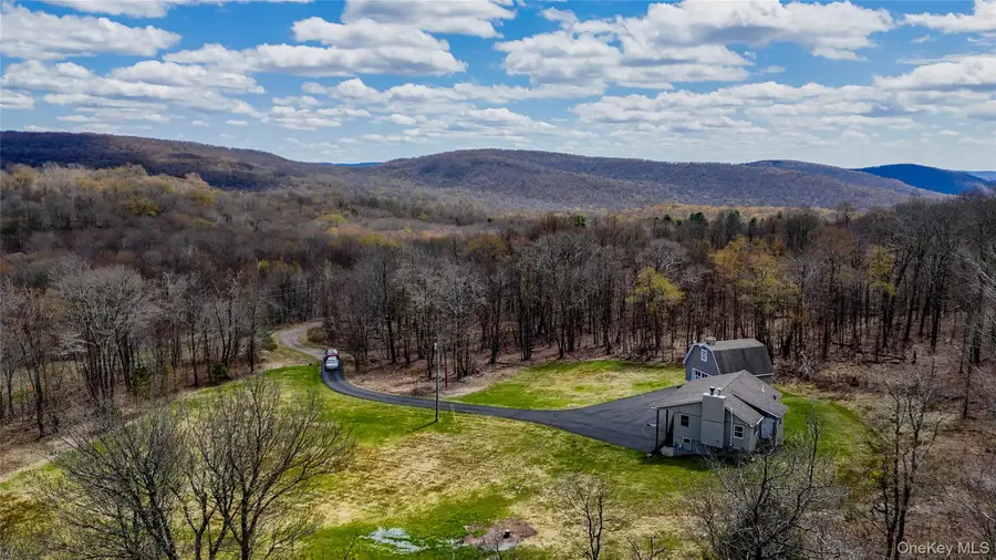 1029 Spring Brook Estates Road, Roscoe, NY 12776 - #3