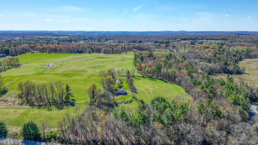208 Shortcut Road, Cochecton, NY 12726 - #2