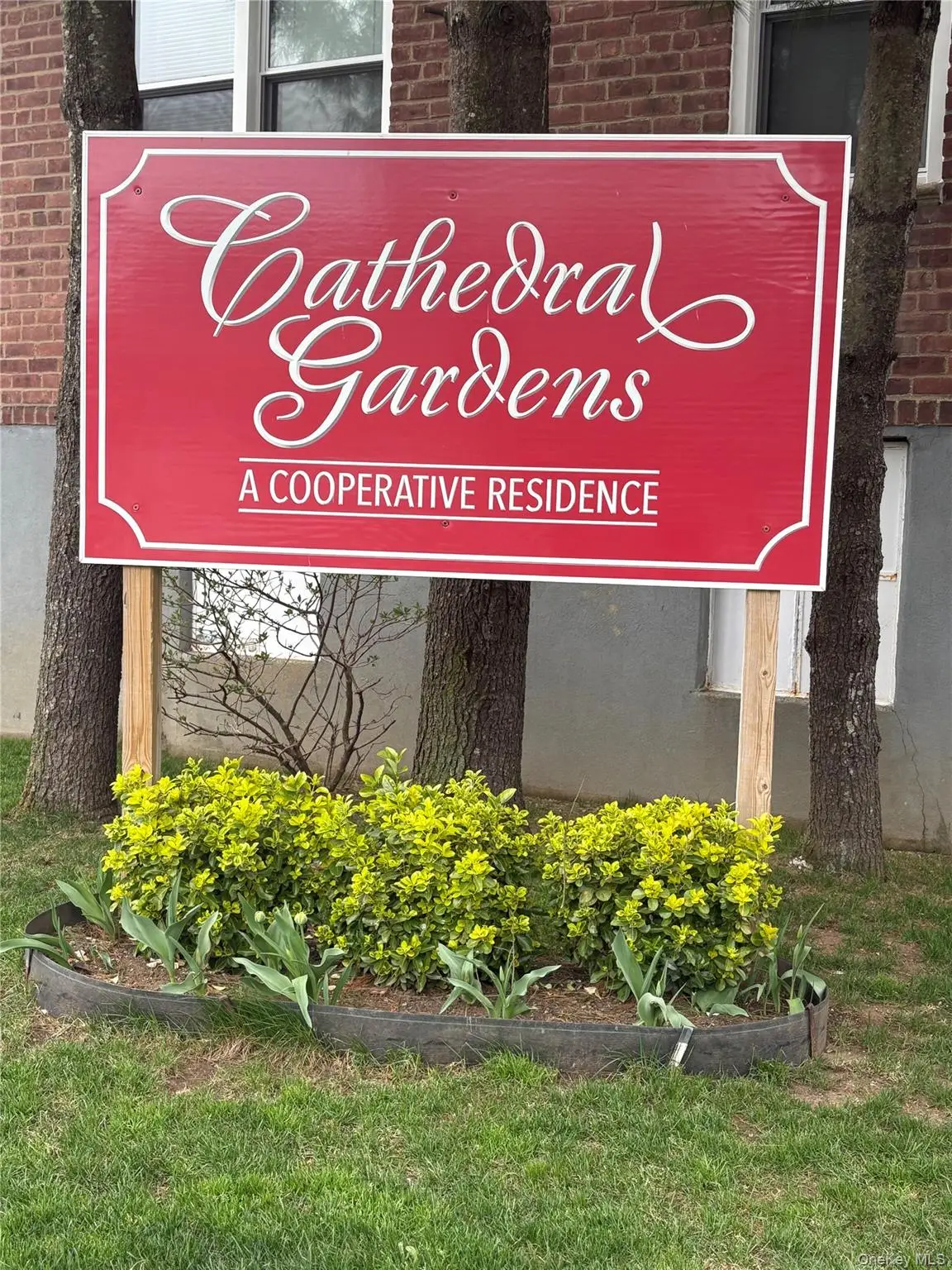 34 Cathedral Avenue #6A, Hempstead, NY 11550 - #1