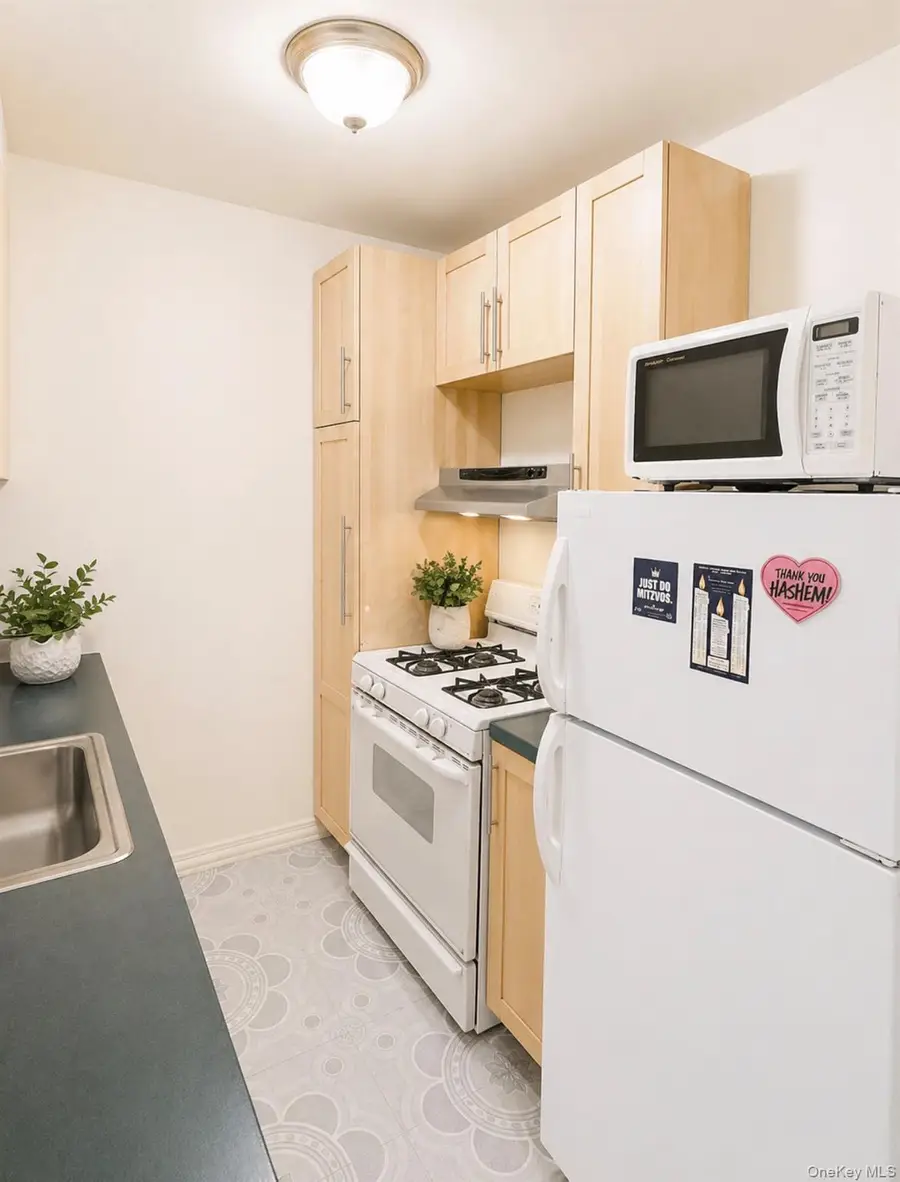 84-01 Main St #311, Jamaica, NY 11435 - #3