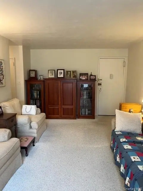 4727 Little Neck Parkway #4G, Little Neck, NY 11362 - #3
