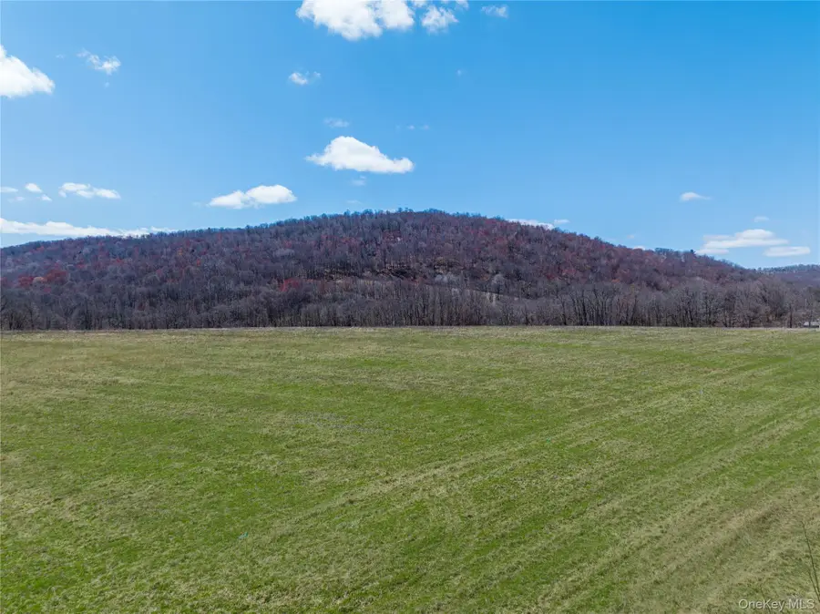 Lot # 10 Mcghee Hill Road, Millerton, NY 12546 - #2