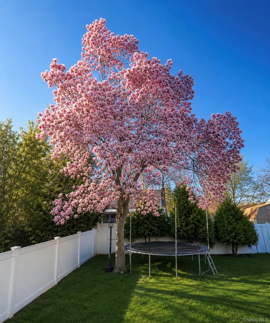 14 Evans Avenue, Albertson, NY 11507 - #2