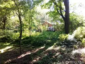 71 Honeywell Lane, Hyde Park, NY 12538 - #1